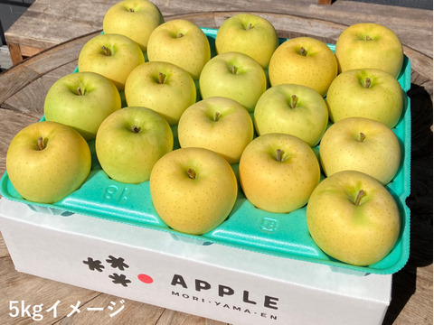 【完売御礼】青森県特別栽培りんご🍏トキ5kg🍏低農薬で皮ごとおいしい🍴キズなし良品🎁化学肥料不使用 低農薬 予約 青りんご