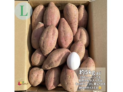 【期間限定】種子島産 新じゃが(S・M・L)＆熟成安納芋(Lサイズ)｜合計 5kg 旬の味わいセット🍠🥔