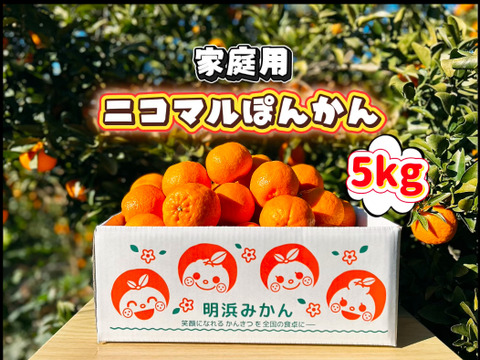 【愛媛県産】季節限定　甘味がギュッと詰まったポンカン　家庭用　5ｋｇ