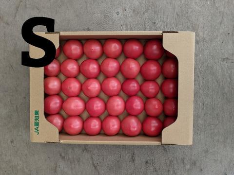 トマト4kg箱サイズS