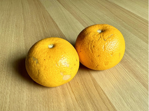 和歌山産】はっさく10キロ ★ほろ苦甘のクセになる美味しさ！とってもジューシー！