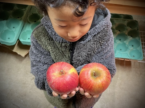 【小玉】夏りんごの王道　夏にピッタリなサンつがる　３㎏
T-k3