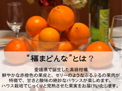 【旬は一瞬】福まどんな 1kg+福みかん 1kg《ご家庭用》｜サイズ混合｜愛媛・西宇和産