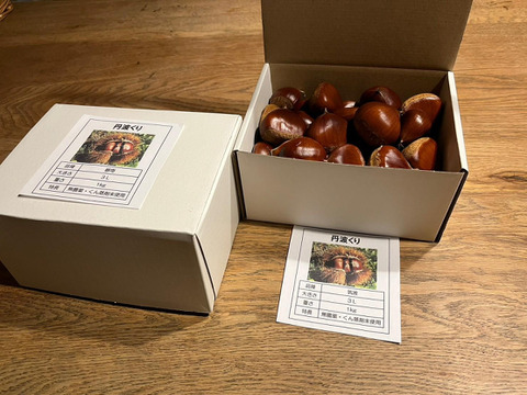 出ました！丹波栗【リーズナブルな２Lサイズ】ご家庭に、秋のひとときを～（農薬不使用・くん蒸剤使用せず！）１kg