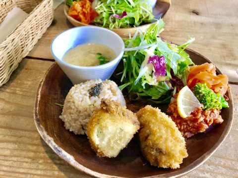 コウノトリ舞いおりるコシヒカリ　特別栽培米　六方銀米　玄米　10kg（5ｋｇ×2）