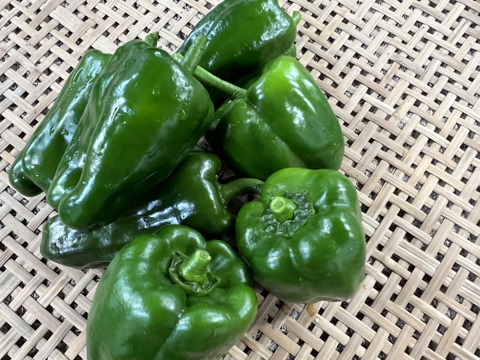 【7周年福袋】淡路島の夏をお届け！夏野菜詰め合わせ（10品）セット  77セット限定【77セット限定】