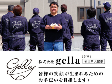 【訳ありお買い得！】令和7年度産　白玉王🧄『あきたしらかみにんにく』Mサイズ約1kg