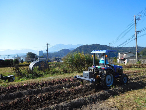 ねっとり甘～い♪「冷やし焼き芋」1.4kg（大分県産自然栽培べにはるか使用・冷凍便）