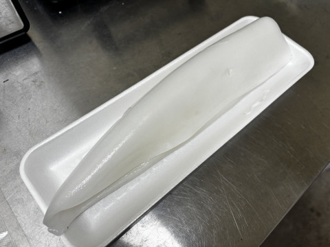 【イカの王様を堪能】長州床波ブランド一押し天然国産『特選アオリイカ』家飲みを最高級料亭のカウンターへ☆お試しキャンペーンお刺身用約200g