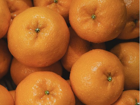 【甘味と酸味のバランスが絶妙】ポンカン 2kg 愛媛県産 家庭用 ぽんかん