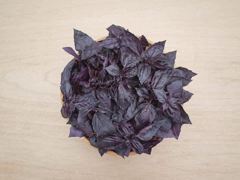 採れたて！新鮮ダークオパールバジル 200g 【農薬化学肥料不使用】