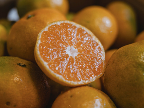 【訳ありだけど美味しさそのまま】 温州みかん 10kg 愛媛県川上産