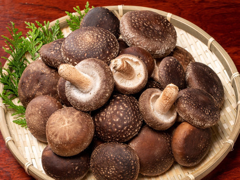 【お米大好き様限定】原木椎茸2kg