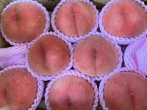 🍑あかつき🍑3キロ箱(8玉〜12玉)化粧箱