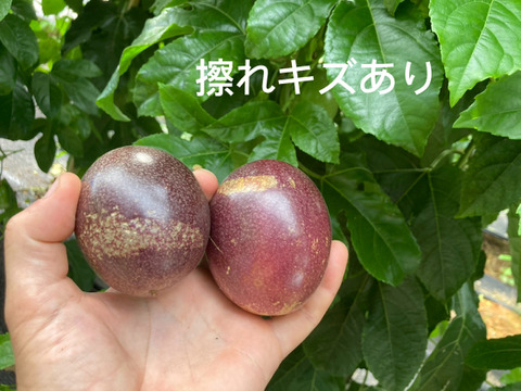 🌺訳あり数量限定《 はねだしセット 》
【有機JAS認証】オーガニック芳醇パッションフルーツ/『はねだし3kg¥6500』/そのまま食べてもお菓子づくりや加工にも◎/30個〜50個/傷シワ色むら