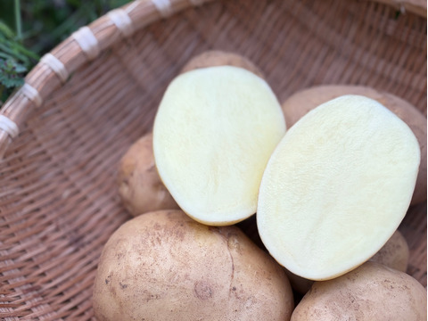 デジマ｜ホクホク旨味が濃い新じゃが 皮ごと食べられる島じゃがいも ４kg