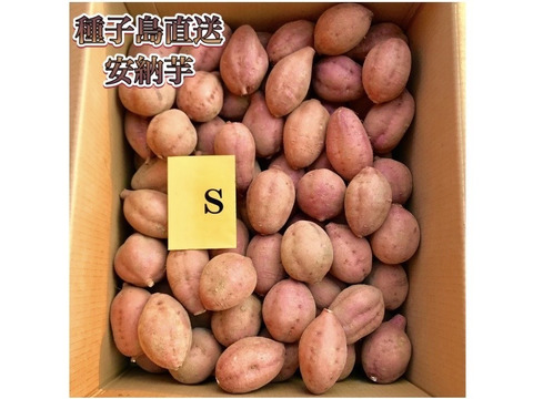 種子島産安納芋 3S&S 混合サイズ 20kg｜甘くて濃厚🍠｜aimo農園直送