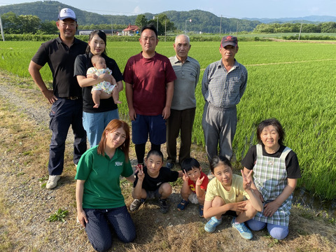 【北海道メロン】抜群の糖度　黄色に輝く黄美香メロン(3玉入)