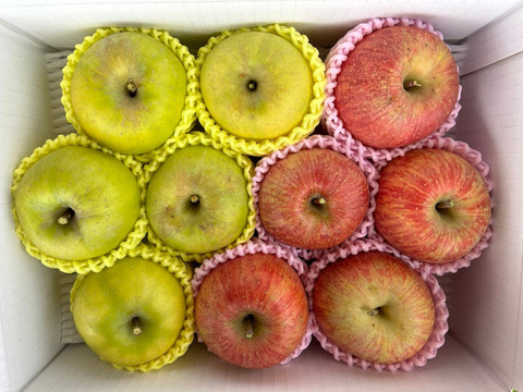 まるせい果樹園のサンふじ,パインアップルと青林の詰め合わせ　3㌔箱　贈答用　自家用　家庭用 rs5