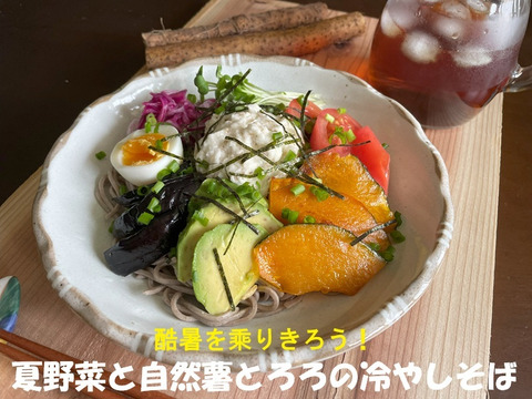 【冬ギフト】自然薯で健康の贈り物！どど～んと１２００ｇ（４００ｇ×３パック）ギフトＢＯＸ入り！のし、ラッピング、レター　無料対応可！まるでお餅！ねばりが自慢の自然薯「京仙人」