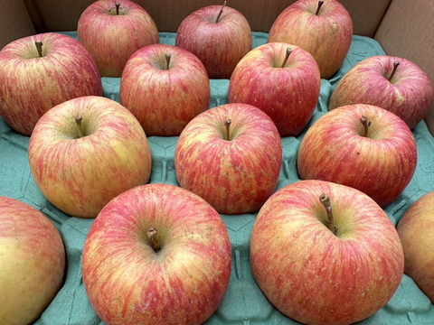 [数量限定出品]甘い！濃い！「葉取らずサンフジ」約5kg箱　12〜18玉