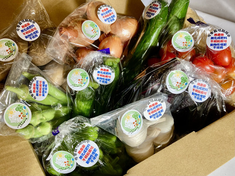 【栽培期間中、農薬・肥料不使用】旬のお野菜詰め合わせセット（5～8品目）