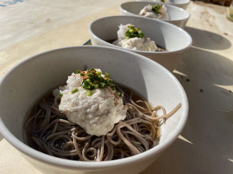 【冬ギフト】迫力の1本芋２本セット！１ｋｇ入り【健康生活応援】まるでお餅！ねばりが自慢の自然薯「京仙人」まるごと1本でお届け！