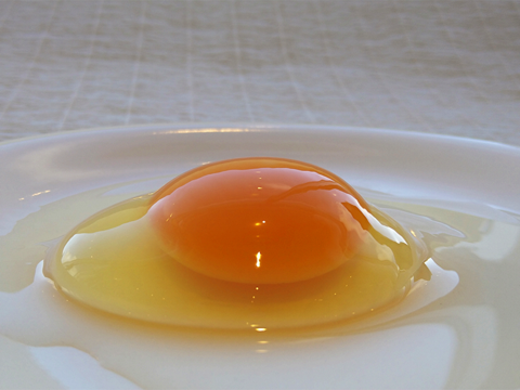 【貴重な福地鶏】厳選した極み卵を使った「たまごプリン 極」