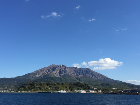 桜島産『みかん蜜』250g    ボトルタイプ