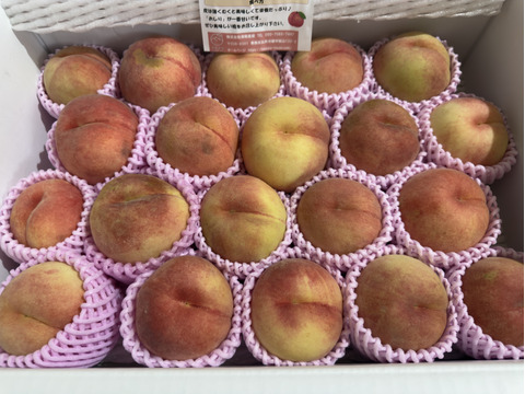 【お試し規格】訳あり C品　約5kg　13～20玉　9月上旬　お得にたくさん食べたい方へ　農家直送