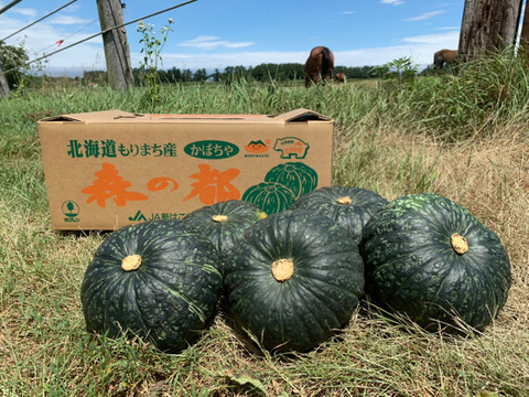 【北海道産】ねっちょ～り極甘！富豪もうならせる美味さ！かぼちゃ10kg（6～7個）長期保存可能なので、多くても食べきれる！