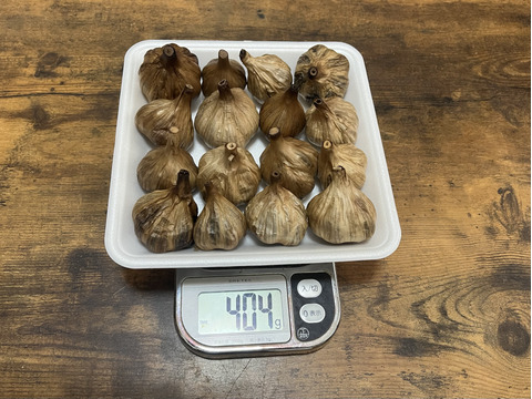 29 自然栽培　黒にんにく 人気　サイズいろいろたっぷり16個　令和4年度新物　食べやすくて美味しい