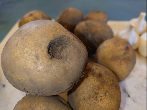 【ちょっと訳有❗】野菜セット（ジャガイモ、にんにく、新生姜）
大きさ色々　60サイズ　1.8㎏