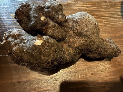 栄養満点！！「紫山芋」ダイジョ 1.5kg程度