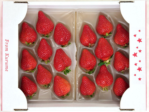 【贈答用】あまおう 400g 甘くて濃い 大粒いちご ゆりかごパック