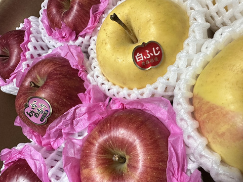 パリッと！ジャワッと！食べくらべる箱「白ふじ」×「あいかの香り」約3kg箱　8〜10玉