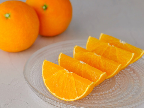 【ご家庭用】完熟甘～い愛媛まどんな３ｋｇ 農薬不使用 自然栽培 愛媛県産