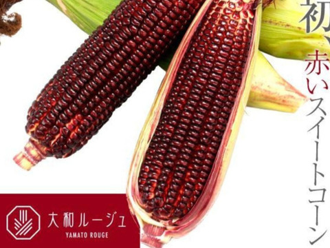 軽井沢 産高原野菜 大和ルージュ 赤いスイートコーン とうもろこし サイズ混合 6本 セット