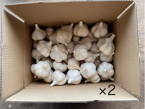 有機ニンニク9.6kg