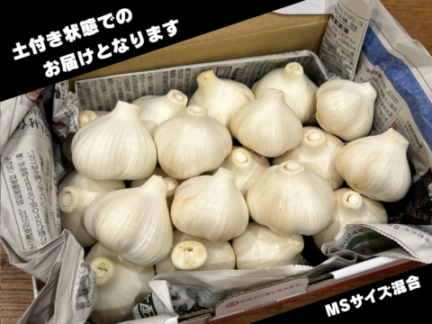 農薬/化学肥料不使用【生ニンニク】福地ホワイト六片・MS混在・1kg