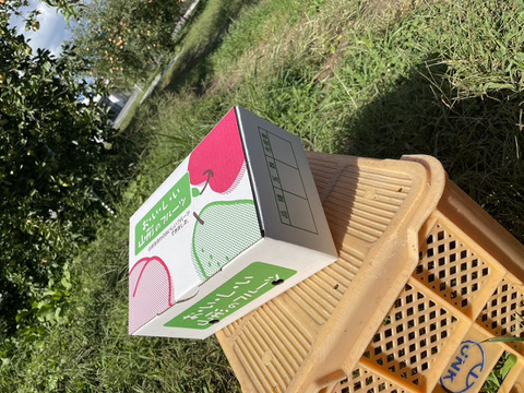 パリパリ食感★シャインマスカット３００ｇ～３５０ｇと自家製ラフランスジュースセット