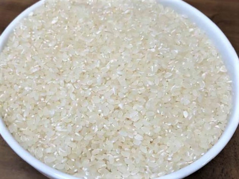 【年始５％OFF！】【令和６年産】自然栽培「豊コシヒカリ」精米　５ｋｇ