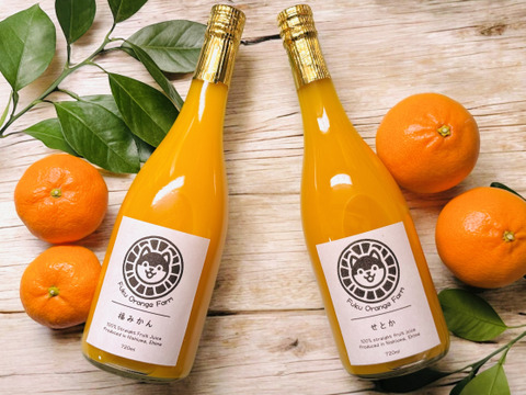 【注いだら最後、止まらない】福みかんジュース+せとかジュース｜愛媛・西宇和産