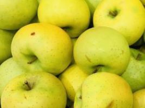 シナノゴールド家庭用（約4.5㎏）13～25玉
信州長野生まれのサクサク黄りんご　
形やキズ、大きさなどで贈答用になれなかったりんごたちをバラ詰めでお届け