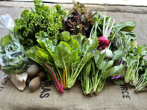 【北海道から旬の野菜を直送】季節の彩り野菜セット　Sサイズ