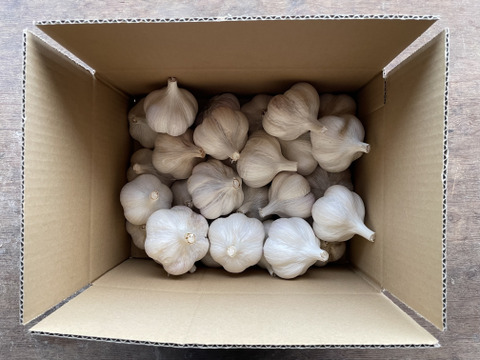 有機ニンニク1.8kg