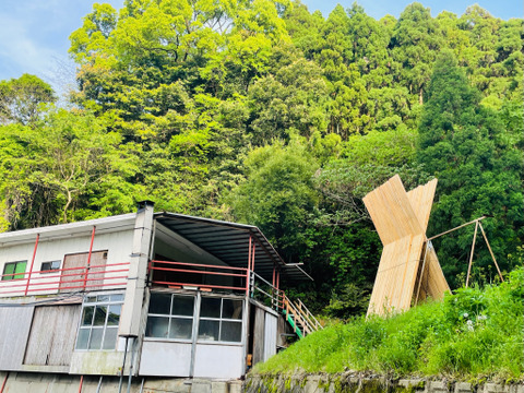 【森で育った高級魚クエ】5〜6人前   鍋用 (養殖クエ)クエのぶつ切り、頭セット、【注文後活け締め!!】長崎県産、モロコ