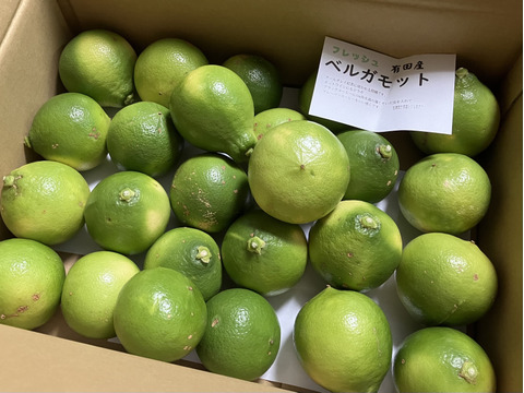 ２級品ベルガモット　３ｋｇ