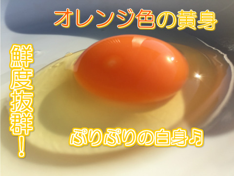【枯草菌・赤卵30個×3箱】オレンジ色が鮮やか🎵濃厚な黄身🍳、枯草菌育ちの赤たまご 90個