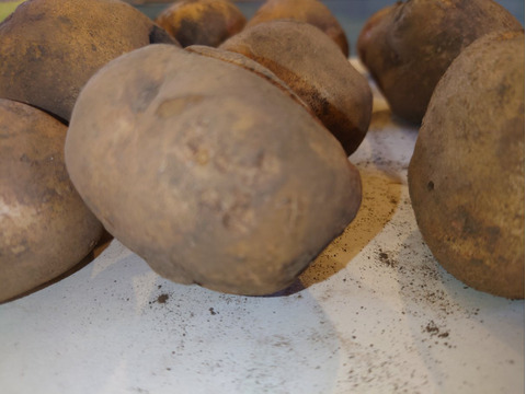 【ちょっと訳有❗】野菜セット（ジャガイモ、にんにく、新生姜）
大きさ色々　60サイズ　1.8㎏